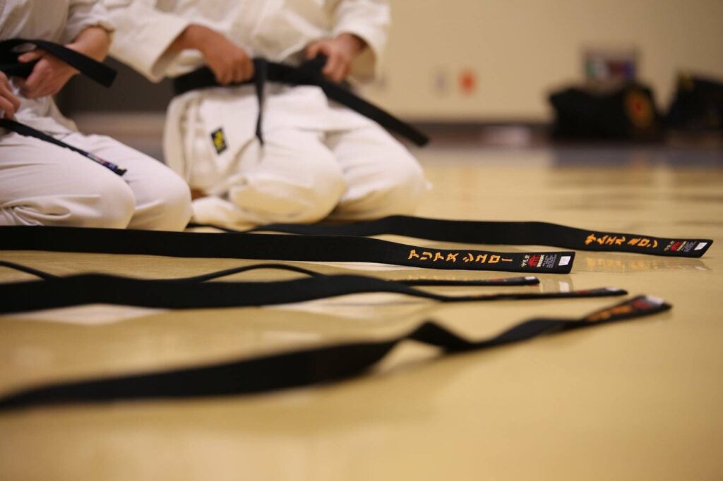 black belt, karate, traditional-894190.jpg