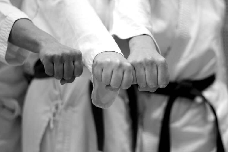 karate, battle, fist, black belt, sports, training, women, monochrome, karate, karate, karate, karate, karate, black belt, black belt-7844492.jpg
